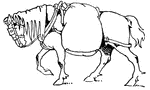 Horse with carrying sack of grain.