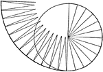 "A circle may be considered as made up of triangles whose bases form the circumference, and whose altitude is the radius (1/2 diameter) of the circle." This is clearly shown by the cut at the left.