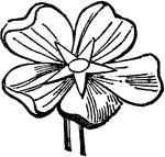 A salver-shaped flower.