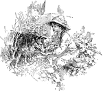 A girl giving a collie some food from her basket in the garden.