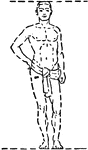 A six-foot man drawn to scale during the time period of miocene.