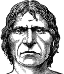 The head of a Cro-Magnon man during the Paleolithic age. Cro-Magnon men were the first true men.