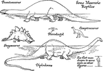 Some Mesozoic reptiles. Shown are the Brontosaurus, Stegosaurus, Pterodactyl, Camptosaurus, and the Diplodocus. The six-foot man is drawn to the same scale as the other animals.
