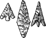 Flint arrow heads. A Neolithic age implement. Not drawn to scale.