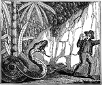 Miraculous escape from the royal serpent of Ceylon. Caption bellow illustration: "In dreadful anticipation of the worst, I looked around, when I saw a monstrous serpent of enormous size crawling slowly out of the opening I had just entered but a few minutes before."