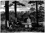 "The first step is to obtain the crude turpentine. It is a mixture of the essential oil known as spirits of turpentine and resin. A half-moon shaped box is cut in the trees, as near as possible to the surface of the ground." -Lupton This is shown in the illustration.