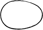 An illustration showing an oval.