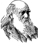 (1890-1882) Naturalist known for his theories of Evolution and Natural selection