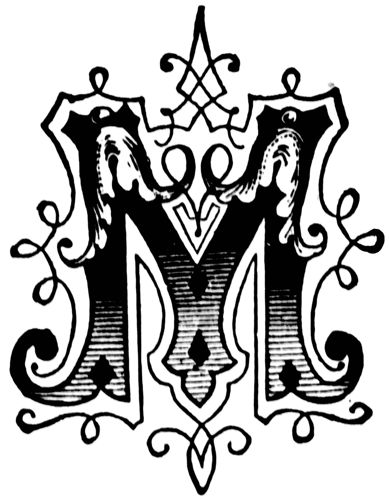 Decorative Letter M Key Logo