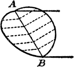 An illustration showing how to construct an ellipse parallel to two parallel lines A and B. "Draw a semicircle on AB, draw ordinates in the circle at right angle to AB, the corresponding and equal ordinates for the ellipse to be drawn parallel to the lines, and thus the elliptic curve is obtained as shown by the figure."