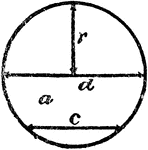 An illustration showing a circle with radius r, diameter d, and chord c.