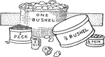 Containers of dry measure in comparison: one bushel, peck, one half bushel, and one half peck. Illustration also shows liquid measures of quart and pint for comparison.
