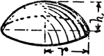An illustration of a segment of a sphere.