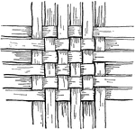 "The simplest form of woven basketry and that in most general use for large baskets is checker work, in which the splints cross at right angles, each splint of the "weft" running alternately above and below the splints of the "warp."" -Foster, 1921