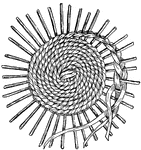 The Basketry ClipArt gallery provides 19 illustrations of baskets and basket weaving techniques.