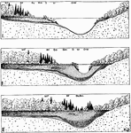 "Diagram illustrating the gradual filling up of lakes by the encroachment of vegetation, and also the stages in the origin of peat and marl deposits in lakes. The several plant associations of the Bog series, displacing one another, belong to the following major groups: (I) O. W., open water succession; (2) M., marginal succession; (3) S., shore succession; (4) B., bog succession, comprising the bog-meadow (Bm), bog-shrub (Bs) and bog-forest (Bf); and (5) M. F., mesophytic forest succession." -Gager, 1916