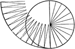 Illustration showing that a circle may be considered as made up of triangles whose bases form the circumference.