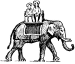 Girls ride an elephant.