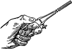 Depicted is a hand reaching out for a bow pencil.