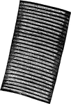 A fiber of cross-striped muscular tissue, showing the alternating bands.