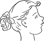 Profile view of a young girl.