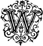 A decorative letter "W".