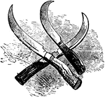 A long-handled pruning saw with a curved blade at the end and sometimes a clipper; used to prune small trees.