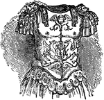 A breastplate is a device worn over the torso either to protect the torso from injury, or as an item of religious significance, or as an item of status.
