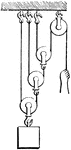 This arrangement have three movable pulleys, each hanging by a separate cord. The mechanical advantage is 8.