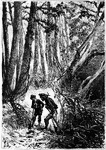 Two men walking through the forest carrying shovels.