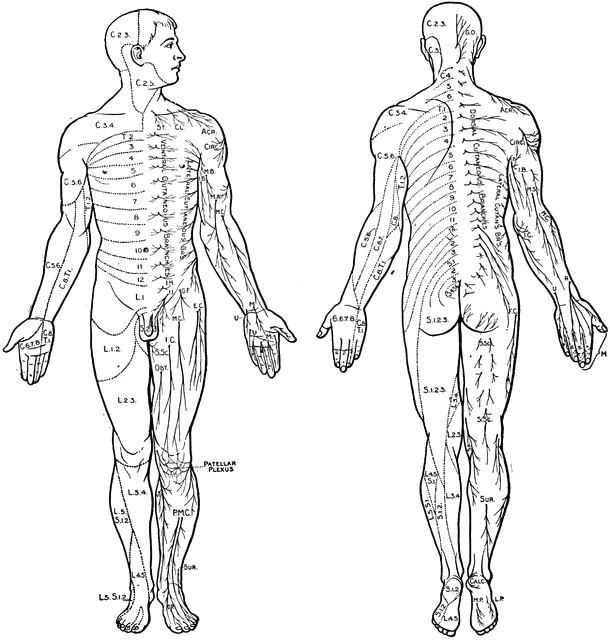 download Immunochemical Techniques, Part G