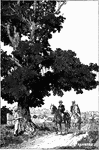 Two men riding their horses past a woodman about to chop down a very large tree.