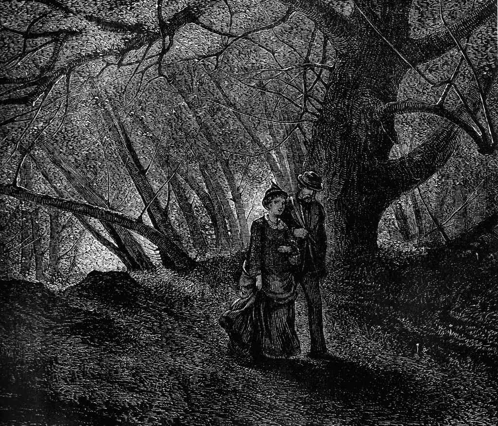 Couple Walking In Woods Clipart Etc