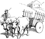This image depicts a man leading two oxen pulling a cart in Spain.
