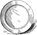 An illustration of a plate.