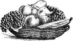 An illustration of a fruit basket including grapes, pears, apples, and bananas.