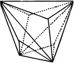 Illustration showing a trigonal dodecahedron.