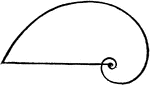 Illustration showing a logarithmic spiral.