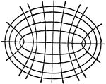 Illustration showing confocal curves.