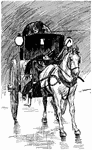 An illustration of a covered buggy pulled by a single horse.