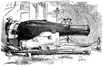 An illustration of one of the cannons salvaged from the wreck of the USS Oneida.