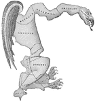 The Miscellaneous Illustrations of Massachusetts ClipArt gallery offers 42 illustrations related to the Bay State.
