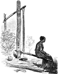 An illustration of a woman sitting on a tipiti. By sitting on the lever the woman is stretching the tipiti causing it to squeeze out the liquid which contains prussic acid.