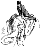 A circus ringleader on top of an elephant.