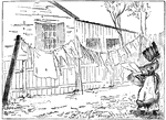 An illustration of a woman hanging clothes on an clothes line located outdoors.