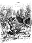 An illustration of a man crouched down guarding his face from a crane attacking him.