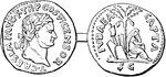 An illustration of a roman coin (denarius). The left side represents the laurel-crowned head of Titus. The right side depicts a female sitting underneath a palm tree with helmets behind her. The Roman currency system included the denarius after 211 BC, a small silver coin, and it was the most common coin produced for circulation but was slowly debased until its replacement by the antoninianus.