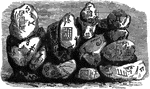 A collection of rocks inscribed by Aztecs.