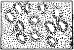 The typical representation of sand dunes on a topographical map.