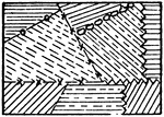 The typical representation of cultivated fields in general on a topographical map.